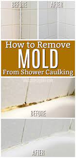 black mold in your shower caulking