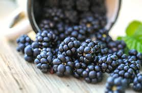 blackberries nutrition facts calories