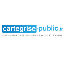 Carte Grise Certificat D Immatriculation Cartegrise Public Fr