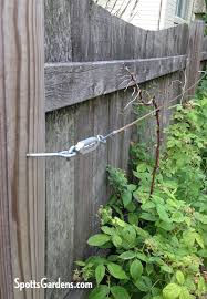 Wire Trellis Spotts Garden Service