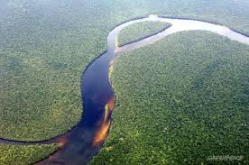 See more ideas about congo river, congo, river. Deforestation In The Congo River Basin Dr Of Congo Ejatlas