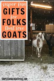 the goat gift guide part 2
