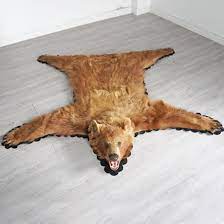 162 5 cm brown bear rug 2626101