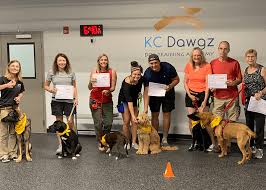 Puppy group classes are the most economical way to receive professional training and socialization. Kc Dawgz The Best Dog Training In Overland Park Kansas City