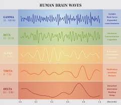 Brain Wave Chart Neuroscience Neurociencia Cerebro Y