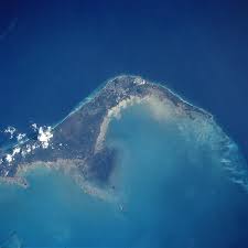 Bahama mutfağı neredeyse tamamen deniz ürünlerinden oluşur. Grand Bahama Wikipedia