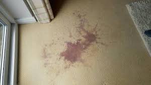 red wine stain removal on carpet in
