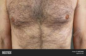 Man Hairy Male Breast Image & Photo (Free Trial) | Bigstock