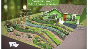 Converting Lawns To Gardens Nature S