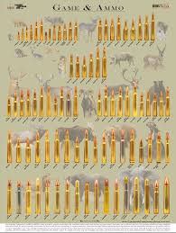 Hunting Bullet Size Chart Bedowntowndaytona Com