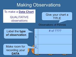 Scientific Cents Making Observations Work With Your Partner