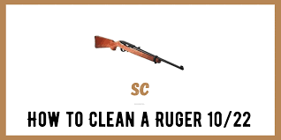 how to clean a ruger 10 22 9 easy