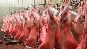 Image result for what is abattoir