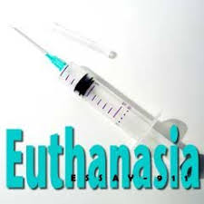 How To Writing English Essay   de olho no cariri  argumentative     Euthanasia should be legalized essay