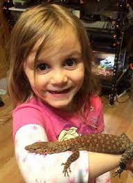 are reptiles a good pet for kids