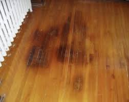 pet urine smell out of hardwood floors