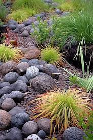 A Rock Garden With Grasses And Rocks