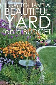 Budget Landscaping