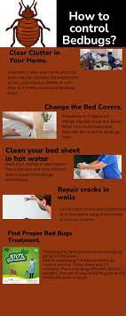 how to control bed bugs tip to