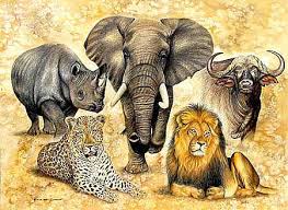 Indian rhinoceros, indian elephant, bengal tiger, swamp deer and wild water buffalo. Pin On Big 5