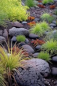 A Rock Garden With Grasses And Rocks