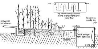 biological diy greywater system