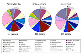 Microbial Diversity Of Three Locations In Gsl Using The