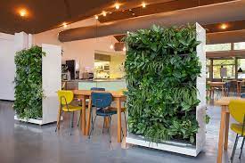 Indoor Plant Hire Sydney Vertical
