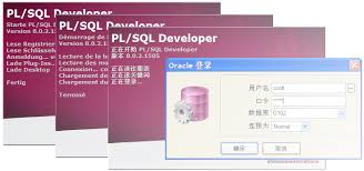 Image result for pl/sql developer 11.0 download