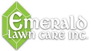Emerald sod farms owners and managers have over 100 years of experience in the turf grass industry. Rolling Meadows Lawn Care Company And Lawn Care Service Lawn Care Northwest Chicago Suburbs Pest Control Tree Care And Shrub Care Lawn Care Servicing Rolling Meadows Arlington Heights Des Plaines Barrington South