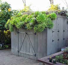 Create A Seasonal Green Roof Black Gold