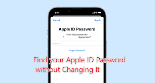 find your apple id pword without