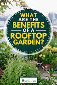 What Are The Benefits Of A Rooftop Garden