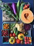 What veg should not be kept in the fridge?