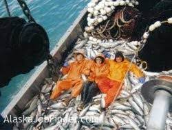 This is commercial salmon fishing in southeast alaska. Alaska Commercial Salmon Fisheries Jobs Alaskajobfinder