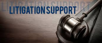 REG - Litigation Support
