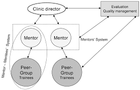 Organizational Structure Of The Mentoring Program Download