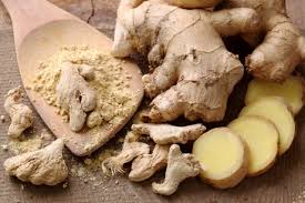 chewing ginger