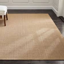modern sisal rugs and carpet stain