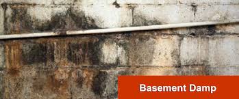 Basement Damp London Basement Damp