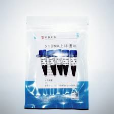gel dna loading dye 6x two color