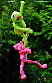 Free Images : play, flower, green, botany, frog, flora, fig, children, fun,  funny, stuffed animal, kermit, plush toys, hang out, the pink panther  3712x5836 - - 574290 - Free stock photos - PxHere