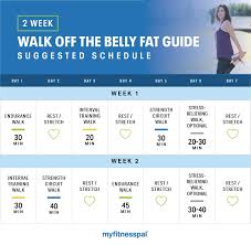 2 week walk off the belly fat guide