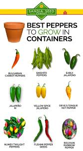 Although you can still sow the seeds right up until the end of march. Best Peppers To Grow In Containers Sandia Seed Company