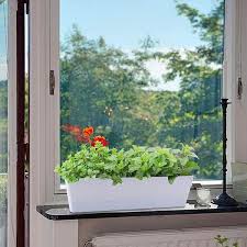 Cubilan 16 In X 3 8 In White Large Window Boxes Plastic Planters 1 Pieces Vegetable Herb Planters With Tray