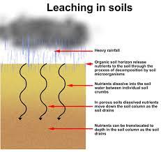 moisture content in soil