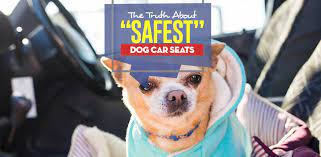 Safest Dog Car Seat Choices