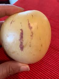 Lilly pilly the fruit from the lilly pilly, or daguba in cadigal language, was a staple among aborigines livin. What Is The Most Unusual Fruit You Have Tried What Was It Did You Like It Quora