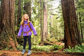 Here we will be discussing the redwood national park things to do, as sometimes there would be special events, programs and educational opportunities for just go ahead and have a look at these best things to see in redwood national park, and choose some of our top picks from the briefly. The Best Things To Do In Redwood National Park With Kids Big Brave Nomad