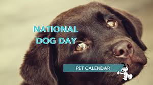Dogs are some of the most beloved pets for us to have around. Pet Calendar National Dog Day Positively Woof